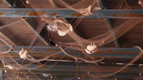 Decorating the ceiling with cockleshells in a cafe Stock Photos