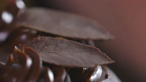 Decorating a chocolate cake with a chocolate leaf Stock Footage 64015877