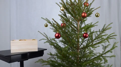 Decorating a Christmas tree Video stock 33724186