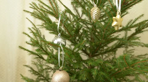 Decorating a Christmas tree Stock Footage 33730849