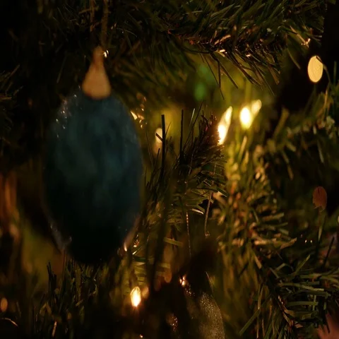 Decorating Christmas Tree Stock Footage 69725335