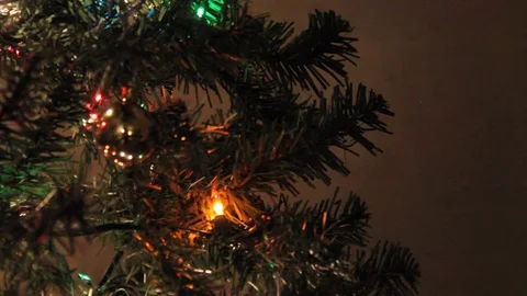 Decorating Christmas tree Stock Footage 71230357