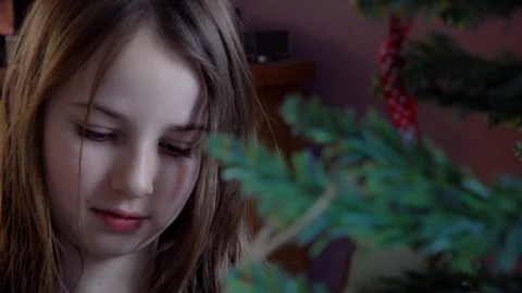 Decorating a Christmas Tree Stock Footage 99340200