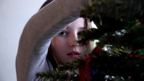 Decorating a Christmas Tree Stock Footage 99342575
