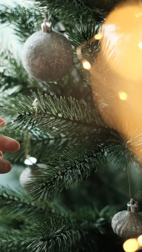 Decorating the christmas tree Stock-Footage 168281059