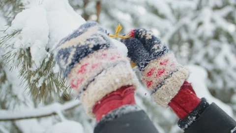 Decorating a christmas tree in the forest Stock-Footage 116652879