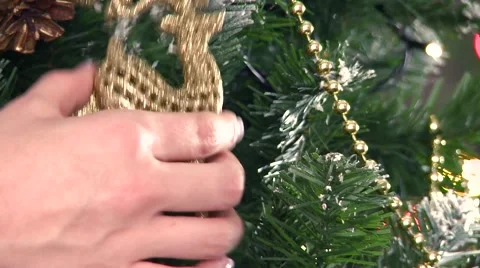 Decorating a christmas tree HD Stock Footage 56236705