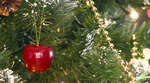 Decorating a christmas tree HD Stock Footage 56236711