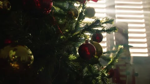 Decorating the Christmas Tree with Shiny Ornaments in a Warm Sunlight Room Vidéo 331105935