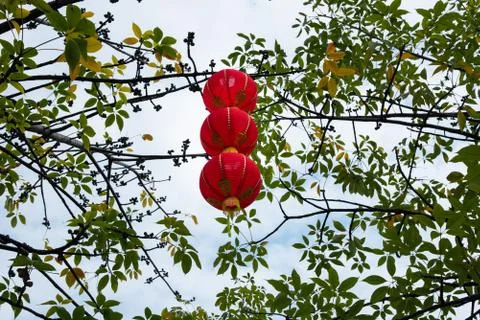 Decorating lantern hanging on trees Stock Photos