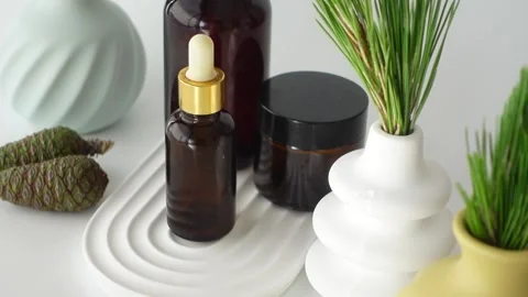 Decorating with natural elements in a modern setting Stock Footage 308355208