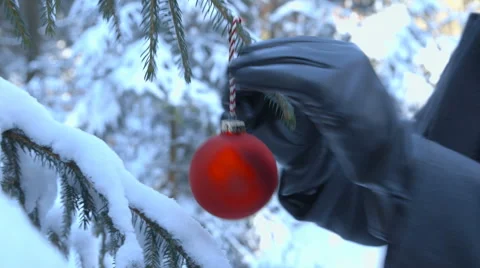 Decorating the Outdoor Christmas Tree Vídeos de archivo 64354467