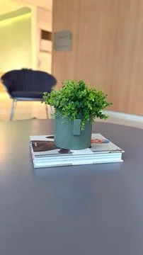 Decorating with potted plants Fotos de archivo