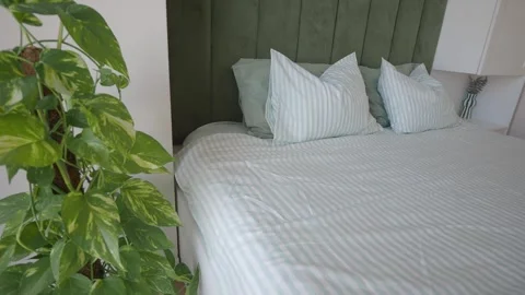 Decorating a room with plants and new bedding for a fresh look Stock Footage 345475835