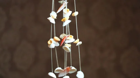 Decorating With Shells Moving Stock Footage 30140313