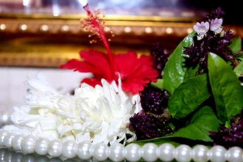 Decoration with aromatic herbs flower Stock Photos