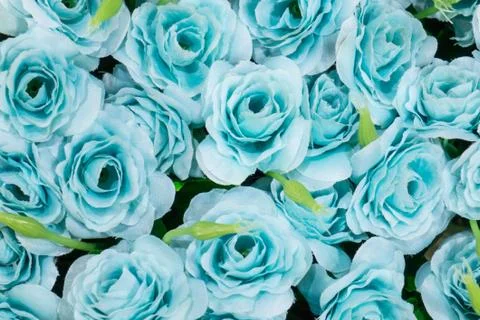 Decoration artificial flower Stock Photos