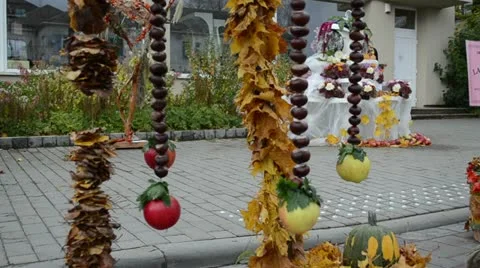 Decoration autumn leaf conker fruit apple move harvest festival Stock Footage