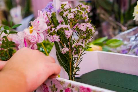 Decoration boxes with flowers. Stock Photos