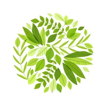 Decoration branches with leaves Stock Illustration