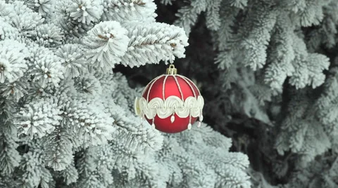 Decoration on a Christmas tree Stock Footage 35066598