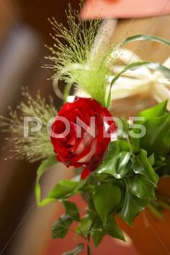 Decoration flower romance romantic wedding love Stock Photos