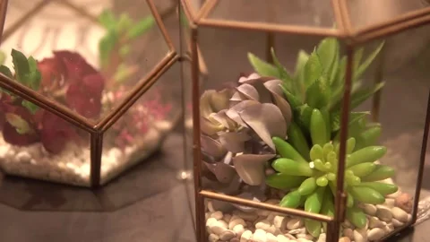 Decoration Video stock 210612262