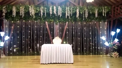 Decoration Stock Footage 219545987