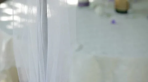 Decoration In The Form Of A Butterfly Stock Footage 52433464