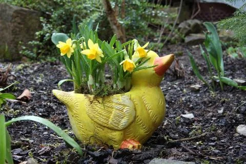 Decoration in the form of ducks Stock-Fotos