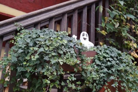 Decoration in the form of a white ghost on the railing decorated with green ivy Stock Photos