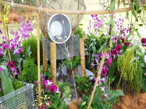 Decoration in the garden Stock Footage 83613168