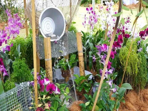Decoration in the garden Stock Footage 83613217