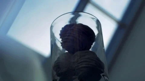 Decoration in the hall close up Stock Footage 81397251