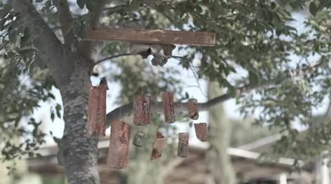 Decoration hanging on tree Video stock 41645686