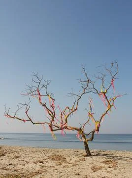 Decoration on a leafless tree by the sea Stock Photos