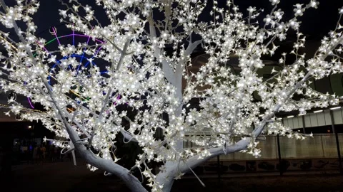 Decoration light hanging on tree Stock Footage 160924605