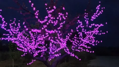 Decoration light hanging on tree Stock Footage 160924931