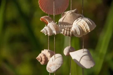 Decoration made of sea shells on the thread Foto stock