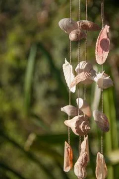 Decoration made of sea shells on the thread Stock Photos