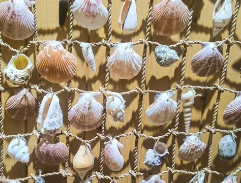 Decoration made of seashells on strings against wooden wall. Design for home Fotos Stock
