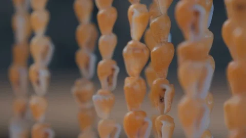 Decoration made of shells close-up stirs under the the light breeze, blured Video stock 109059069