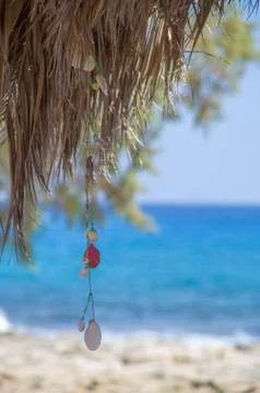 Decoration made of shells Stock Photos