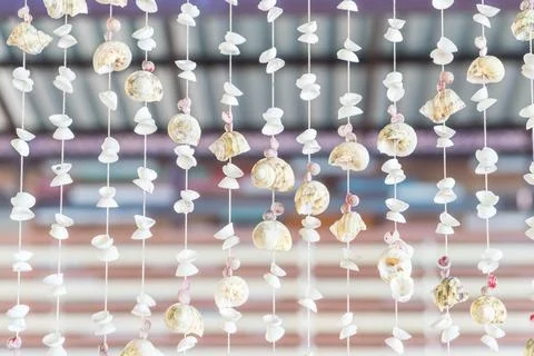 Decoration with many different seashells and snails Stock Photos