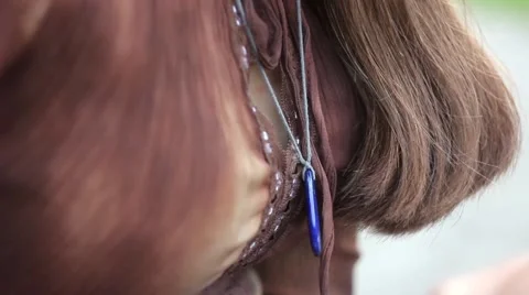 Decoration on the neck Stock Footage 67710305