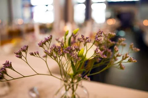 Decoration Stock Photos