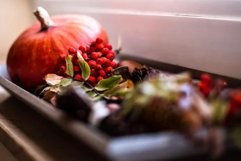 Decoration Stock Photos