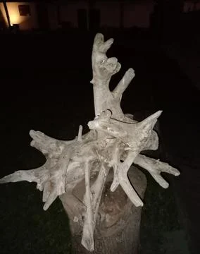 Decoration Stock Photos