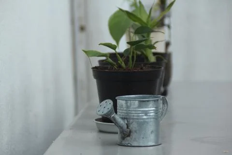 Décoration Stock Photos