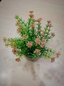 Decoration Stock Photos